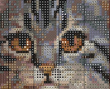 Cuddling Cat and Dog Cross Stitch Sewing Modern Embroidery Pattern Instant DMC Download Funny Snarky Cute Kitten Ying Yang Dog Puppy
