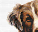 Cuddling Cat and Dog Cross Stitch Sewing Modern Embroidery Pattern Instant DMC Download Funny Snarky Cute Kitten Ying Yang Dog Puppy
